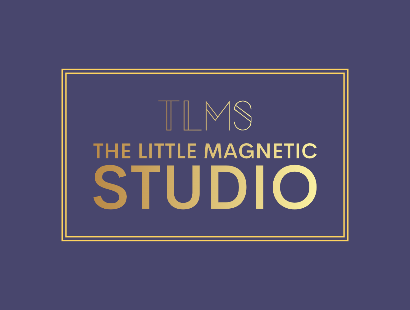The Little Magnetic Studio (TLMS)