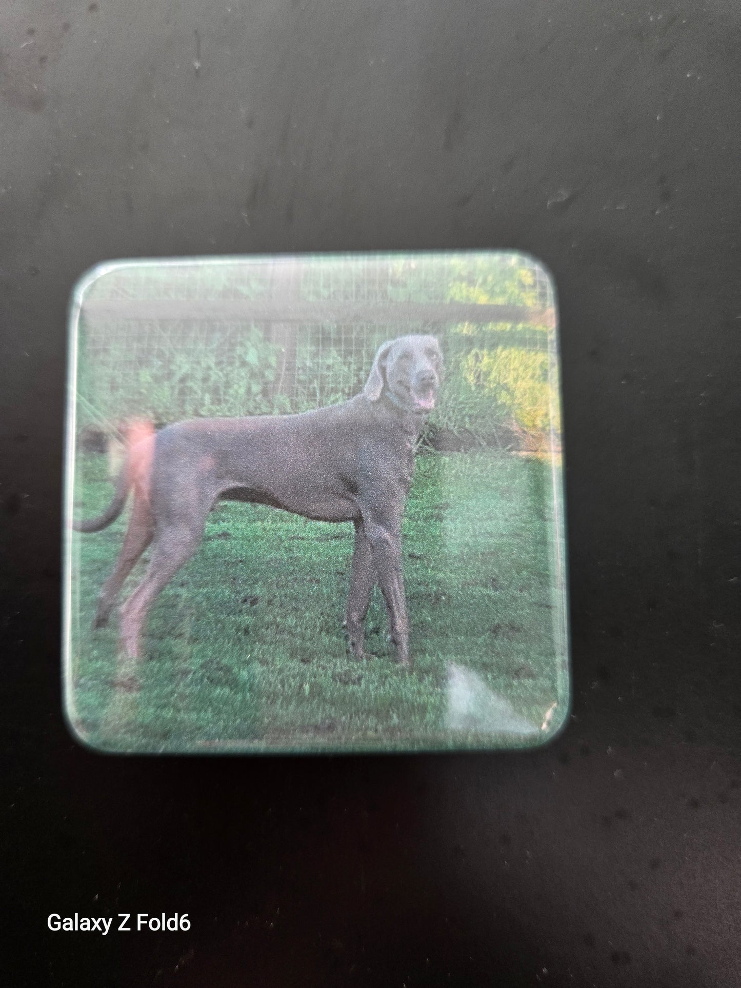 50mm x 50mm personalised Magnets set of 6