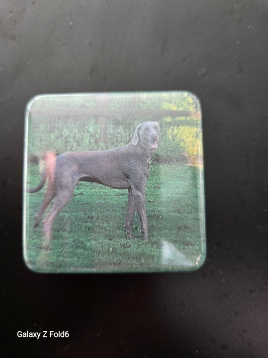 Personalized 50mm x 50mm Photo Magnet